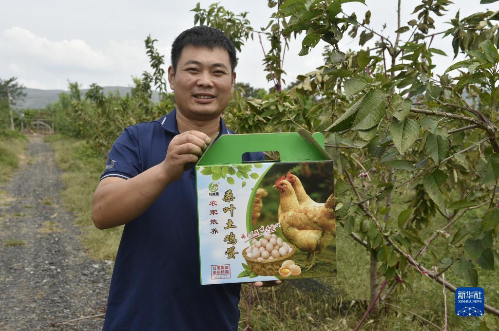 威尼斯送彩金